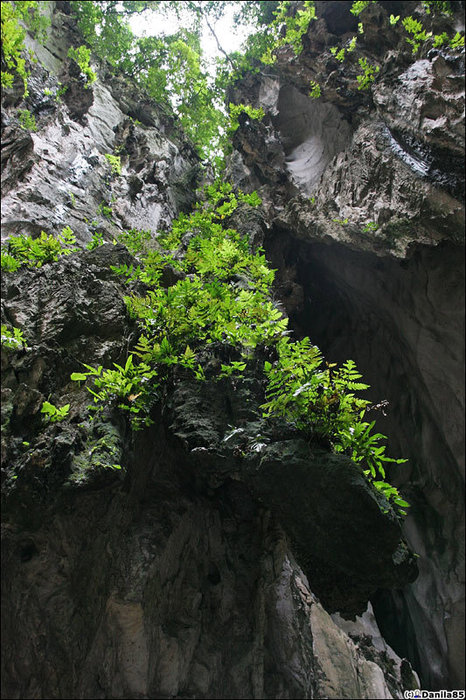 Batu caves - индуистское место в Малайзии Штат Селангор, Малайзия