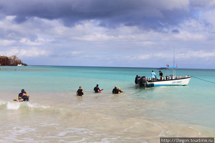 Дайвинг в прозрачной воде Карибского моря Гренада
