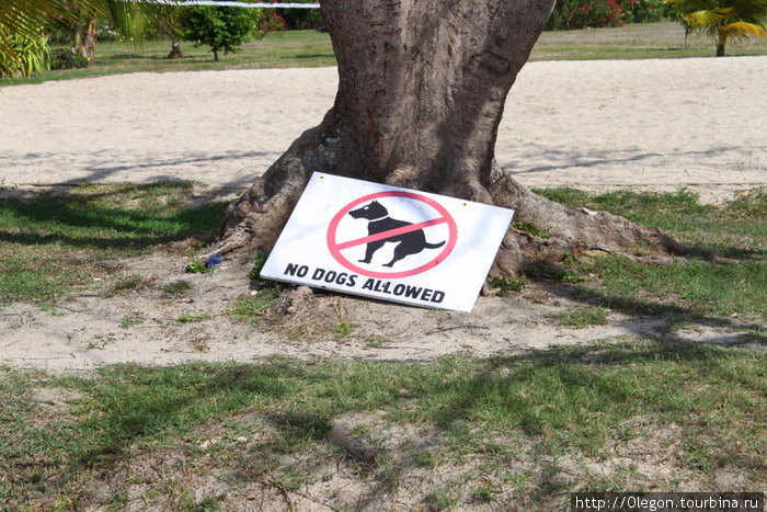 Берегите пляж от засорения.. Какающим собакам вход запрещён Гренада