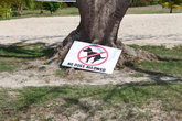 Берегите пляж от засорения.. Какающим собакам вход запрещён