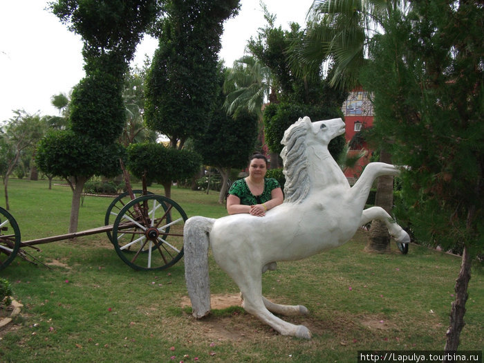 Лошадка и я))) Алания, Турция
