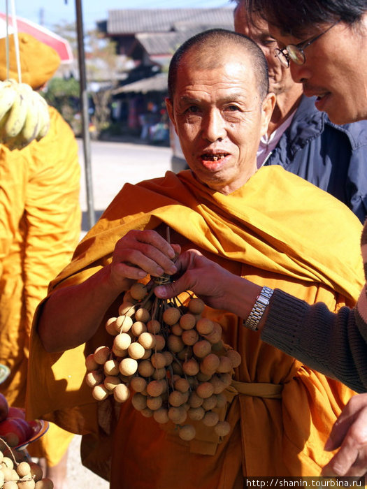 Монах с личи Лаос