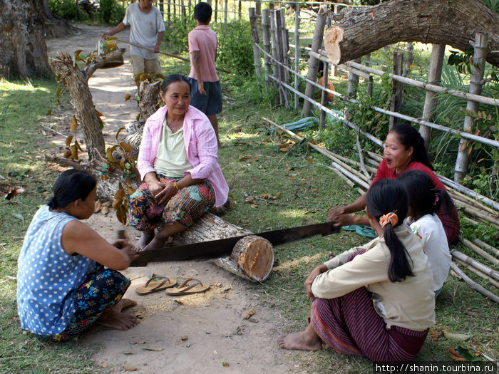 Женщины — лесорубы с двуручной пилой Лаос