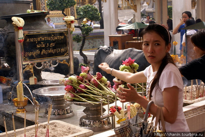 Цветы для Будды Бангкок, Таиланд