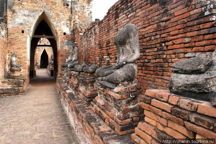 Будды у стены Аюттхая, Таиланд