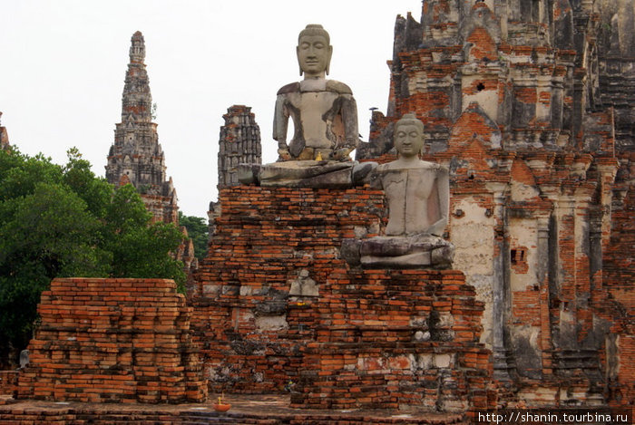 Будда среди кирпичных стен и ступ Аюттхая, Таиланд
