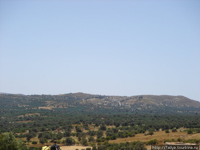Вид на оливковые рощи Остров Крит, Греция