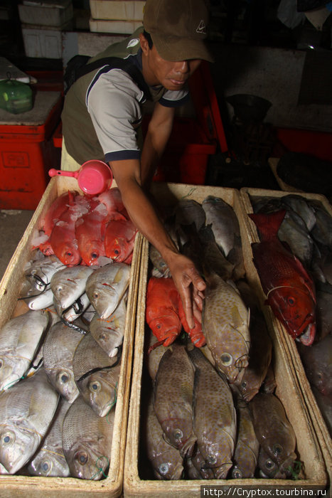 Рэд-снэппер и уайт-снэппер — самая популярная в кулинарном отношении рыба в Джимбаране Джимбаран, Индонезия