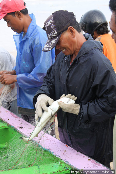 Акуленок Джимбаран, Индонезия
