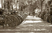 So many bicycle\’s in Beijing...