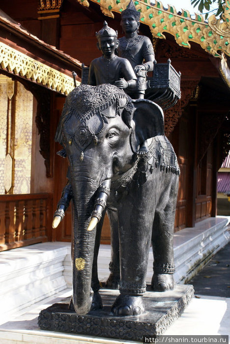 Черный слон Чиангмай, Таиланд