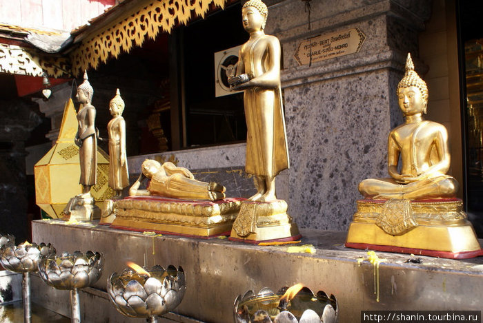 Будды Чиангмай, Таиланд