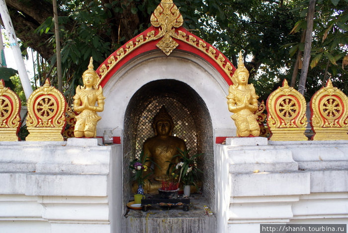 Статуя Будды в нише Чиангмай, Таиланд