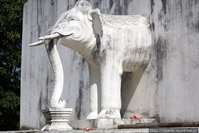 Половинка белого слона Чиангмай, Таиланд
