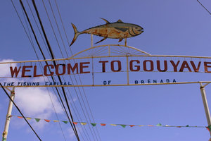 Рыбная столица Гренады вас приглашает