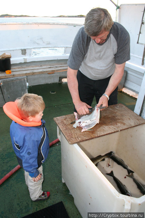 Кэп мастерски филерует рыбу Стейген, Норвегия