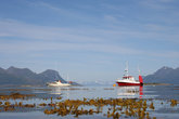Фьорды — райское место для рыбака, горы закрывают от ветра и волн