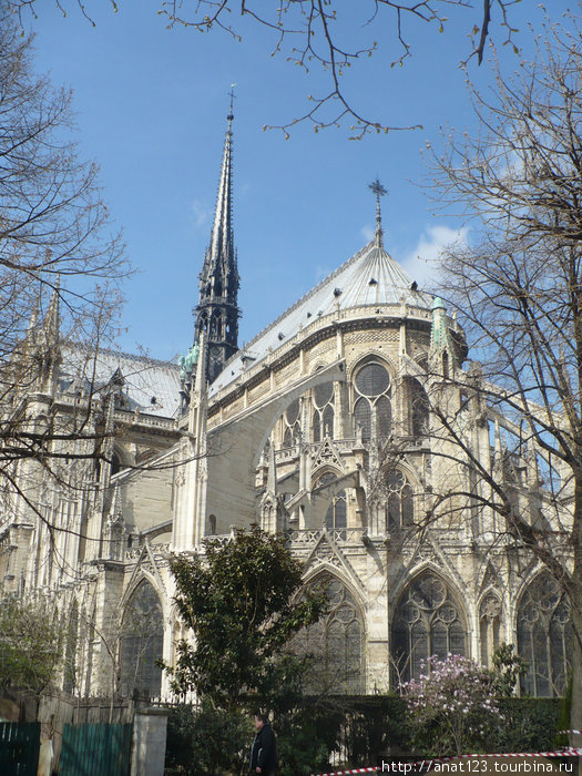 Собор Парижской богоматери (тыловая сторона) Париж, Франция