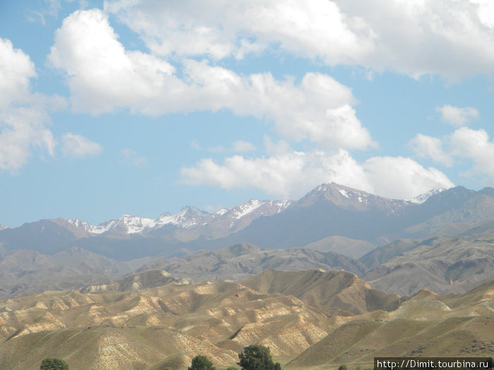 Казахстан-Киргизия: Мы, Тыгра и обдолбаные суслики Киргизия