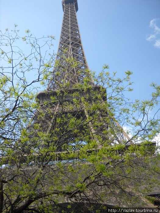 Весна на дворе. Башня в цвету Париж, Франция