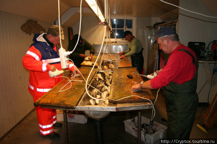 При каждой базе есть специальное помещение для обработки и заморозки рыбы Стейген, Норвегия