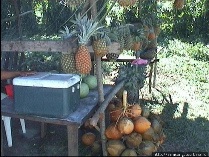 Придорожная лавка,продают ананасы и кокосы.На столе стоит холодильник. Гондурас