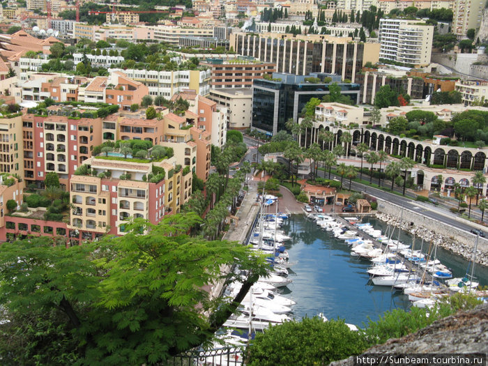 Каждый свободный метр в Монако стремятся озеленить Монако