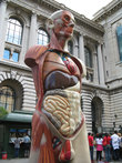Такого типа статуи установлены в некоторых людных местах Монако по распоряжению принца. Эта находится возле океанографического музея