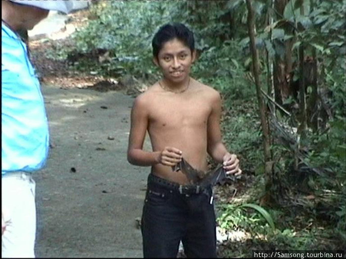 Мальчик индеец майя показывает туристам летучую мышь. Гондурас