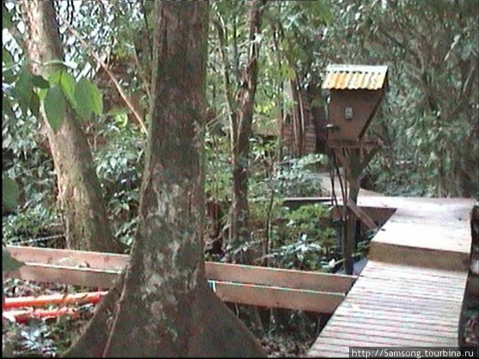 От домика к домику проложены деревянные мостки. Гондурас
