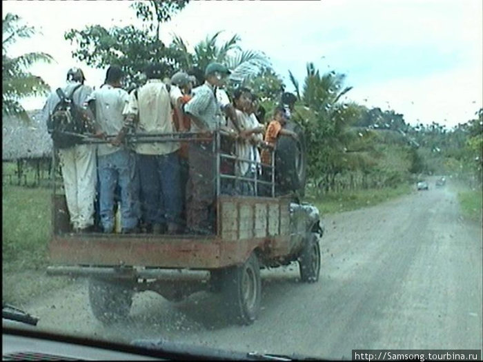 Индейцы майя едут на работу на банановые плантации,как оказалось.