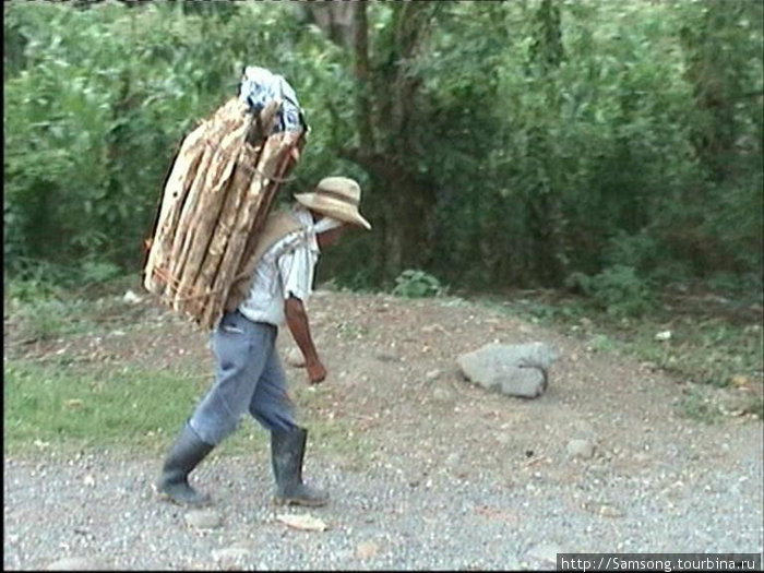 Индейцы,там где живут,деревья не рубят,а за дровами ходят в горы. Гондурас