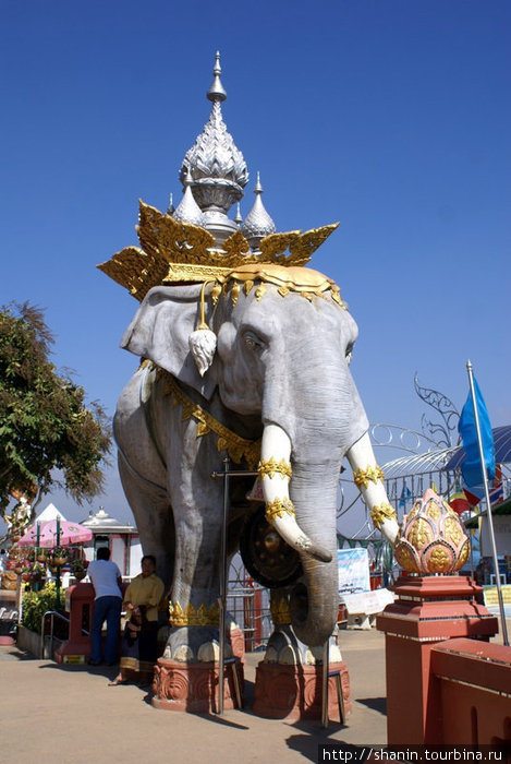 Белый слон Соп-Рыак, Таиланд