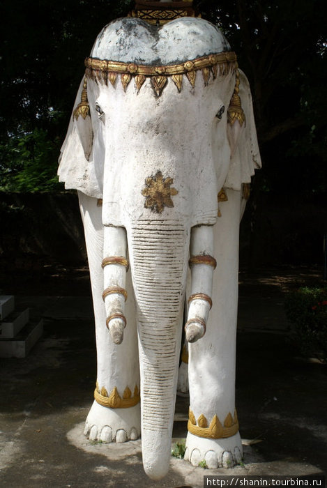 Священный белый слон — тот самый, который перевозил Изумрудного Будду Лампанг, Таиланд