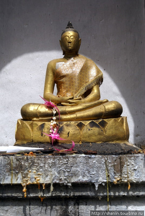 Статуя Будды в нише основания ступы Лампанг, Таиланд