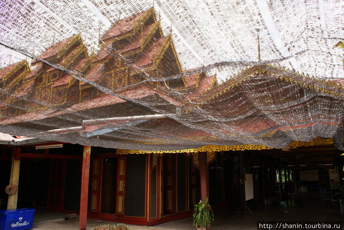 Под маскировочной сеткой Лампанг, Таиланд