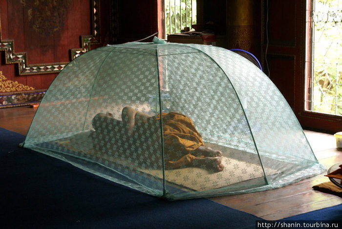 Спящий монах — сиеста Лампанг, Таиланд