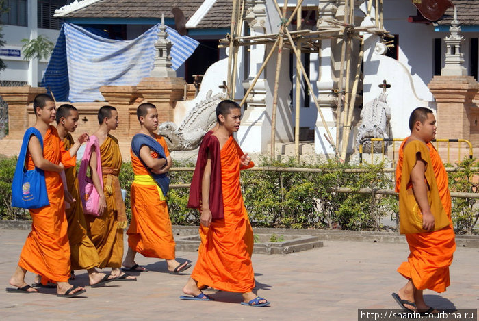 Монахи на территории Вата Чеди-Луанг
