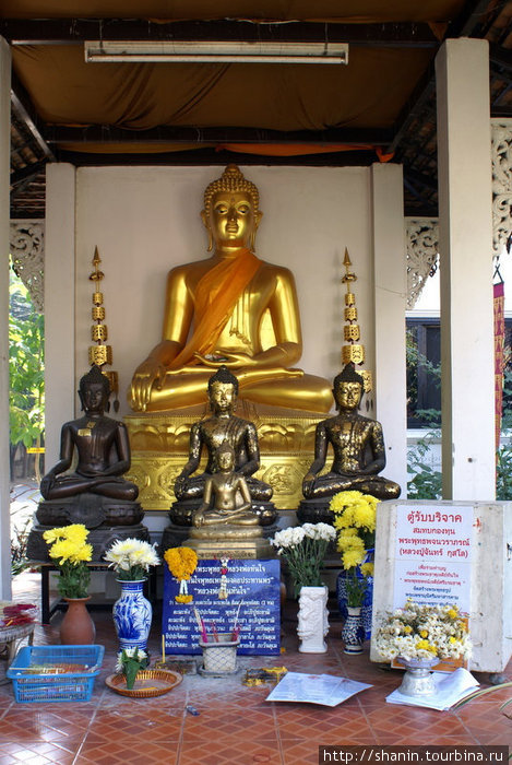 Золотой Будда в окружении Будд Чиангмай, Таиланд