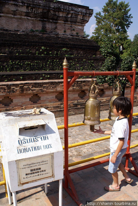 Мальчик у колокола, Ват Чеди-Луанг Чиангмай, Таиланд