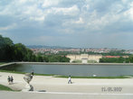Панорама дворца и парка