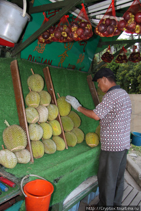 Знаменитый дуриан продают только передвижные лавки за городской чертой. Воня-я-я-я-ет! Сингапур (город-государство)