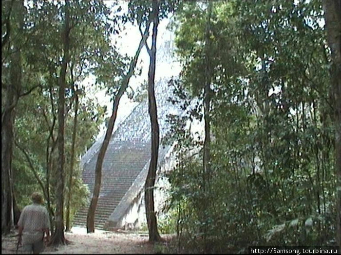 Пирамида среди джунглей. Гондурас