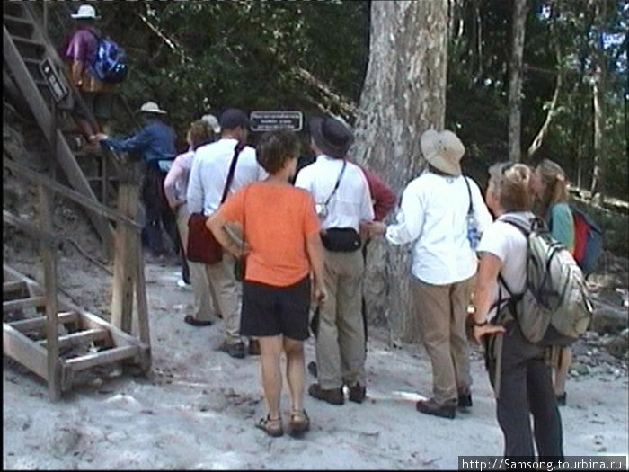 Туристы,молодые и старые считают своим долгом забраться на самую высокую пирамиду по деревянным лестницам,ведущим вверх и вниз.