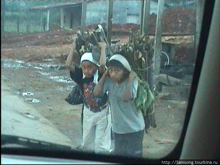 Мальчишки майя несут за спиной дрова,обратите внимание,что лямки держащие груз упираются в голову. Гондурас
