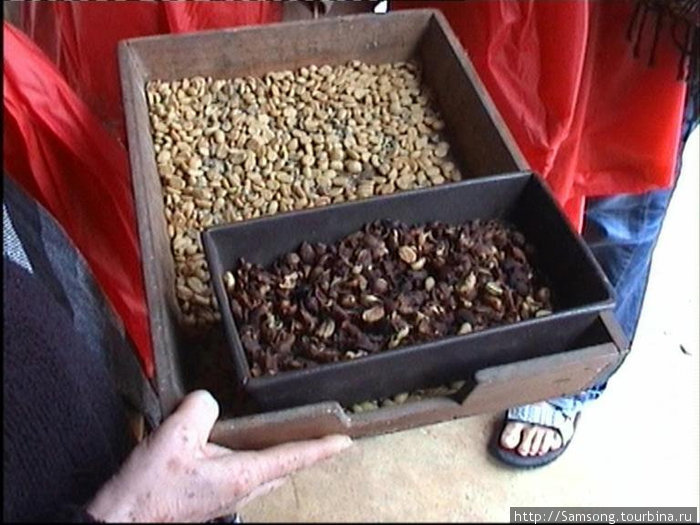 А это уже высушенные зёрна кофе,и в коробе поменьше зёрна какао. Гондурас