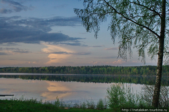 Череменецкое озеро Луга, Россия