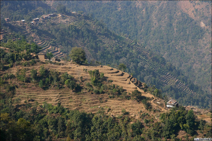 Эти сумасшедшие гималайские террасированные склоны с перепадом в километр. Со временем привыкаешь к таким видам, но всё равно круто. Непал