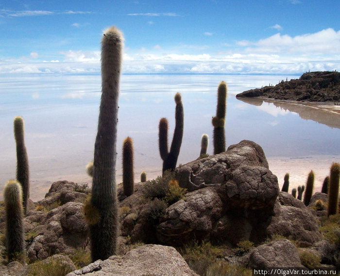 Путешествие в Зазеркалье. Уюни Уюни, Боливия