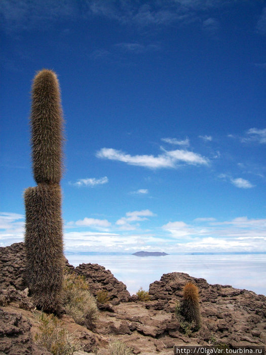 Путешествие в Зазеркалье. Уюни Уюни, Боливия